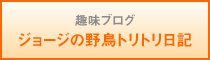 ジョージの野鳥トリトリ日記